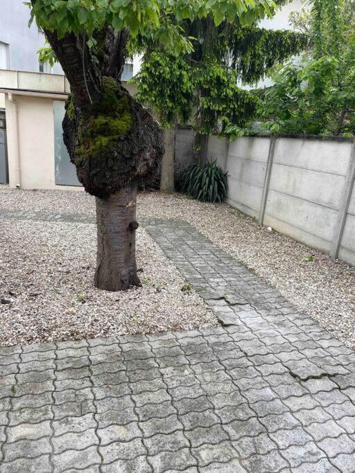 Studio Tout Confort, Au Pied De Toute Commodite, 2 Διαμέρισμα Κρετέιγ Εξωτερικό φωτογραφία